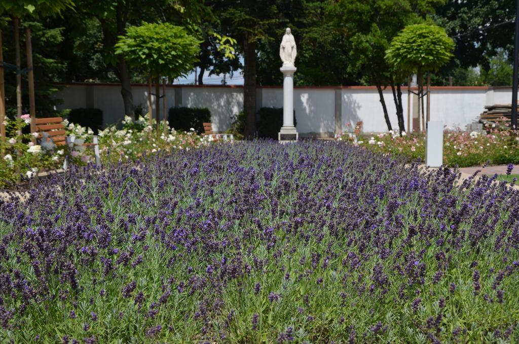 Domus Mater Hotel クラクフ エクステリア 写真